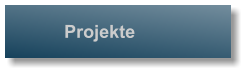 Projekte